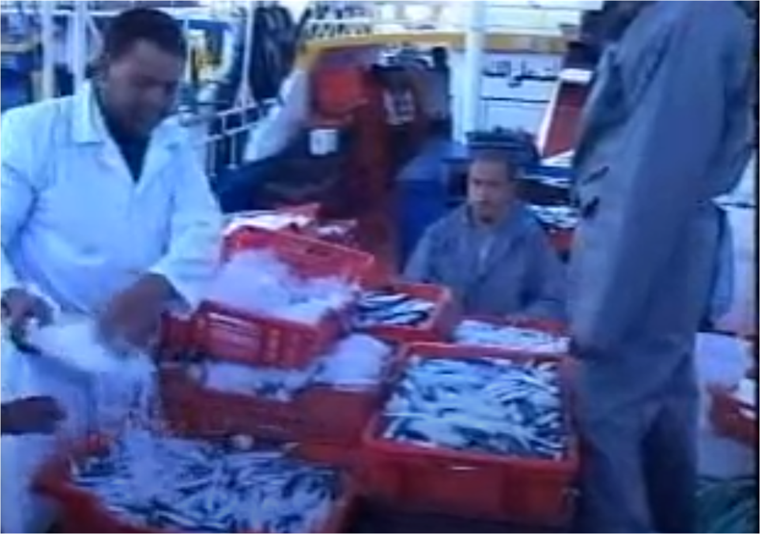 Conservation de la qualité du poisson bleu