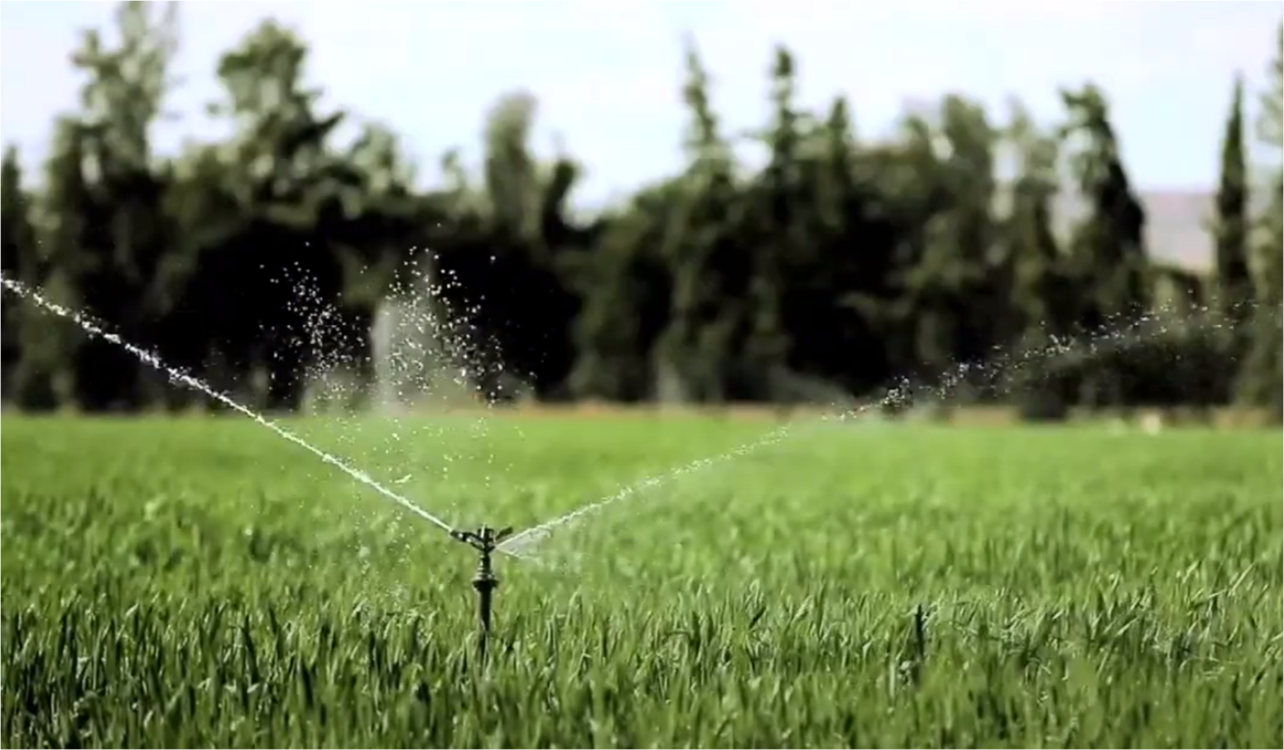 Economie en eau